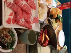 -青瓷火锅料理(西单大悦城店)