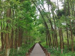 -桤木河湿地公园