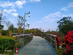 -狐尾山公园