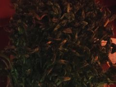 -捞王猪肚鸡火锅(昆山店)