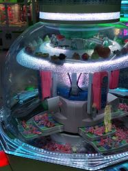 -莫莉幻想儿童乐园(北京天通苑华联店)