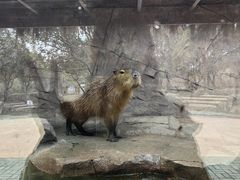 -宁波野生动物园