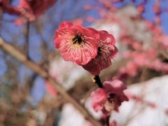 -树山生态村