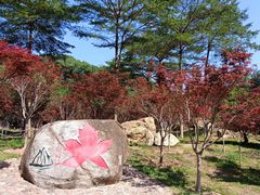 -广州市帽峰山景区