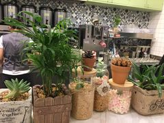 -恋暖初茶(万菱汇店)