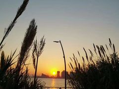 -深圳湾公园(南山区)