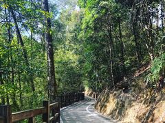 -广州市流溪河国家森林公园
