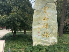 -灵谷景区