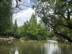 -瀛洲公园