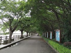 -大湾区中央湿地公园