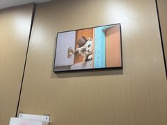 -半岛宠物医院24小时(西派城店)