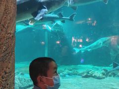 -华夏文旅海洋公园