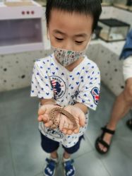 -Moni星球萌宠·小马宝莉·灵蛇·高端高阶全萌宠互动体验俱乐部(红豆国际广场店)