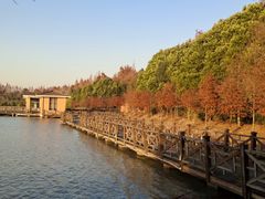 -上海海湾国家森林公园