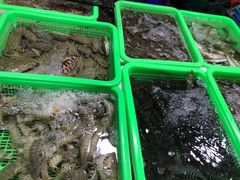 -都斛海鲜街