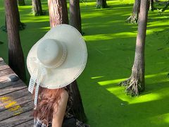 -云龙湖旅游景区