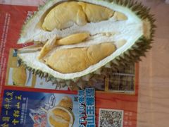 -都念榴莲·城市榴莲