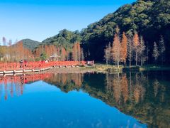 -广州市石门国家森林公园