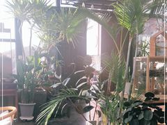 -北马山庄植趣咖啡