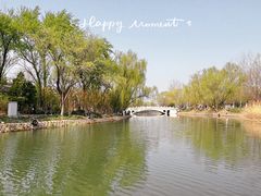 -朝阳公园