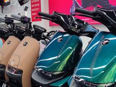 -九号电动车(安定门内大街店)