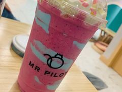 独角兽-飞行喵MR PILOT|猫舍·猫咖(静安大融城店)