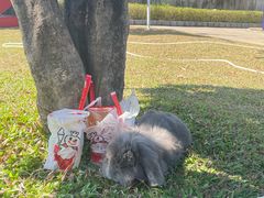 -野人先生现做冰淇淋(深圳壹方城店)