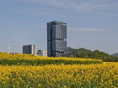 -光明小镇欢乐田园