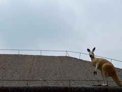 -武汉动物园