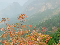 -狼牙山风景区