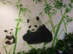 -疯狂的筷子老灶九宫格火锅