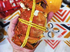 -黄记大闸蟹专卖店·活蟹·醉蟹