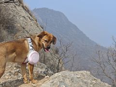 -妙峰山风景名胜区