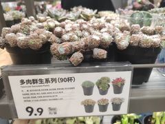 -鹿岛生活(熙地港店)
