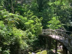 -香炉山国家森林公园