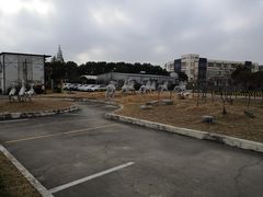 -胜华驾校·小猫学车(银都店)