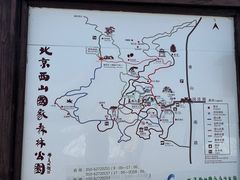 -北京西山国家森林公园