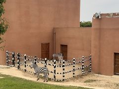 -祥源·阜阳生态乐园