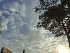 -安徽大学(磬苑校区)