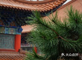 合肥小故宫｜雨天的开福寺