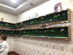 -圣婕美甲美睫皮肤管理