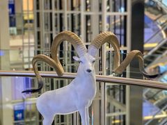 -红星美凯龙北京至尊MALL(东四环中路店)
