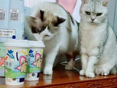 -瑞幸咖啡(石榴中心店)