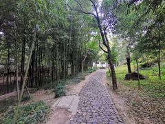 -狼山风景名胜区