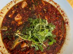 -胖大姐黄辣丁鱼庄(新津店)