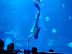 -太平洋海底世界