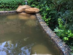 -天目湖涵田半山温泉