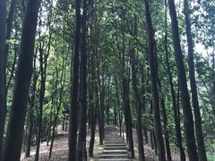 -广州市帽峰山景区