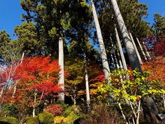 -三千院