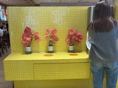 -蔡澜点心·粤菜(花城汇南区店)